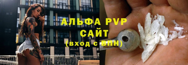 ПСИЛОЦИБИНОВЫЕ ГРИБЫ Вязники