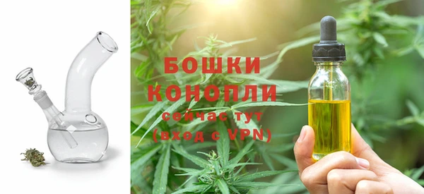 spice Вяземский
