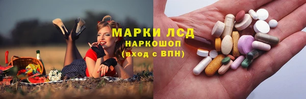 spice Вяземский