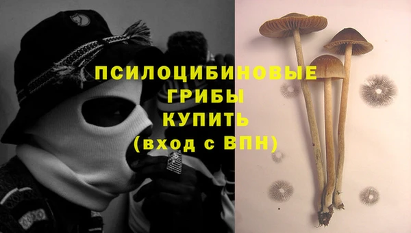 spice Вяземский