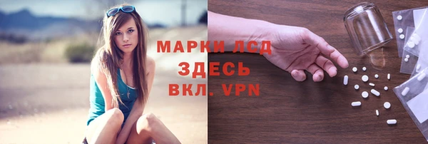 spice Вяземский