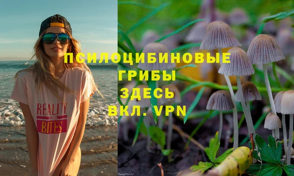 ПСИЛОЦИБИНОВЫЕ ГРИБЫ Вязники