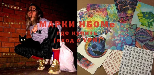 ПСИЛОЦИБИНОВЫЕ ГРИБЫ Вязники