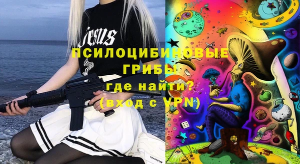 spice Вяземский