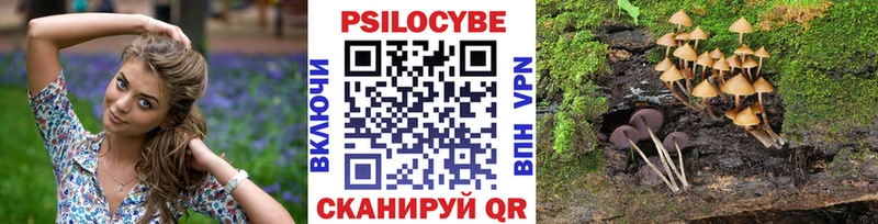где купить наркотик  мега ТОР  Псилоцибиновые грибы Cubensis  Меленки 